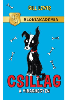 Csillag a viharhegyen