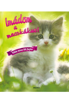 Imádom a macskákat! /Több mint 50 fajta