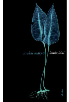 Lomboldal