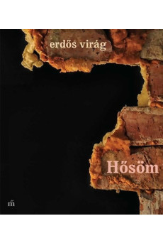 Hősöm