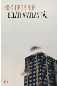 Beláthatatlan táj