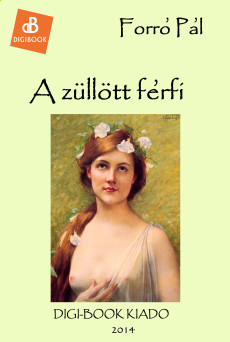 A züllött férfi (e-könyv)