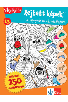 Rejtett képek 13. - Bagolyvár és sok más fejtörők