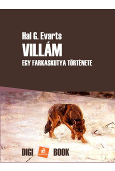 Villám (e-könyv)