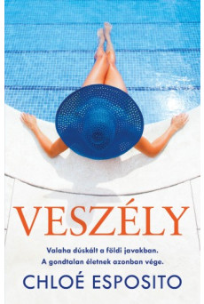 Veszély (e-könyv)