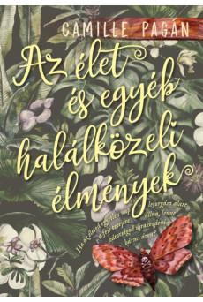 Az élet, és egyéb halálközeli élmények
