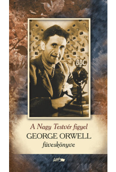 A Nagy Testvér figyel - George Orwell füveskönyve