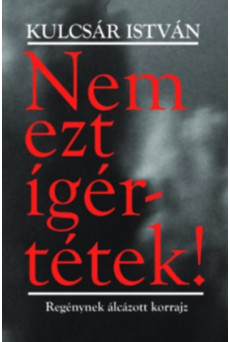 Nem ezt ígértétek! - Regénynek álcázott korrajz