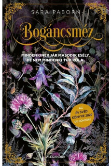 Bogáncsméz