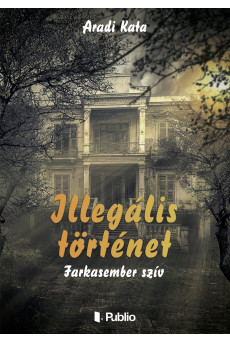Illegális történet (e-könyv)