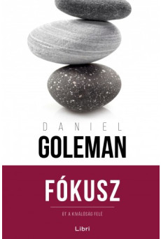 Fókusz (e-könyv)