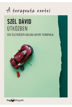 Útközben - Egy életközepi válság Skype-terápiája /A terapeuta esetei