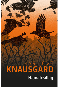 Hajnalcsillag (e-könyv)