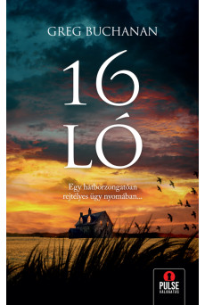16 ló (e-könyv)