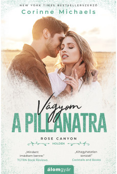 Vágyom a pillanatra (e-könyv)