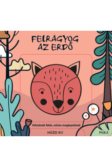 Felragyog az erdő
