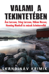 Valami a tekintetében - Svéd kriminovellák (e-könyv)