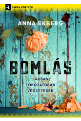 Bomlás (e-könyv)