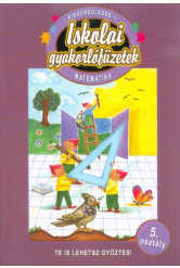 Matematika 5. - Kisgondolkodó 1.