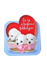 Én és a kedvenc fekhelyem