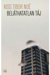 Beláthatatlan táj