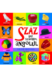 Száz kép színekkel angolul sok-sok matricával