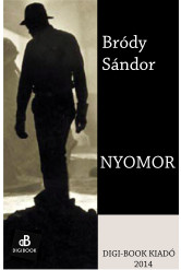 Nyomor (e-könyv)