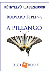A pillangó (e-könyv)