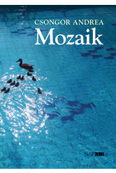 Mozaik (e-könyv)