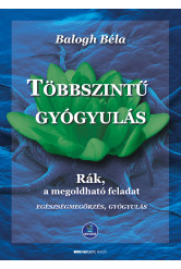 Többszintű gyógyulás (e-könyv)