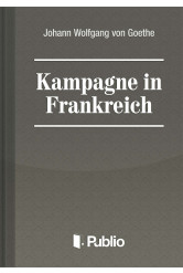Kampagne in Frankreich (e-könyv)