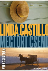 Megtört csend (e-könyv)