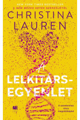 A lelkitárs-egyenlet (e-könyv)