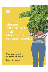 Hogyan változtatják meg életünket a szobanövények? - Zöld otthonnal az egészségünkért