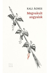 Megvakult angyalok