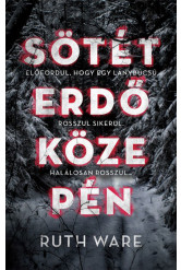 Sötét erdő közepén (e-könyv)