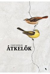 Átkelők (új kiadás)