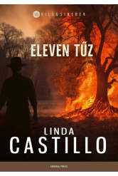 Eleven tűz - Világsikerek