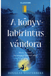 A könyvlabirintus vándora (e-könyv)